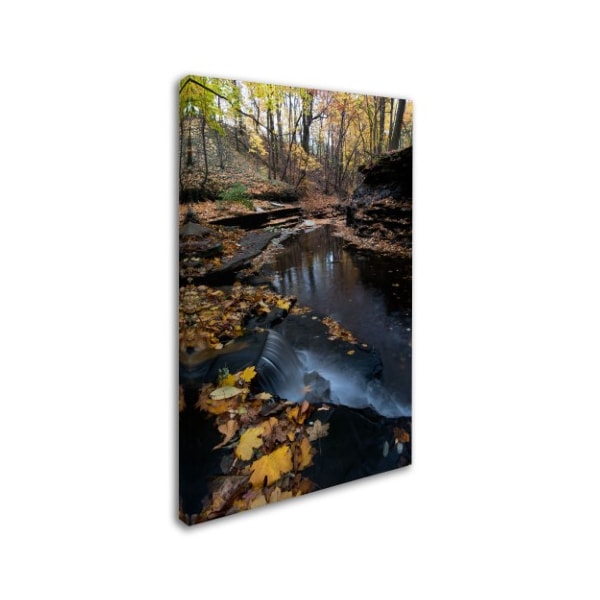 Kurt Shaffer 'Autumn Stream' Canvas Art,12x19